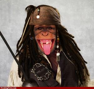 Click image for larger version

Name:	Monkey-Pirate-79236.jpg
Views:	160
Size:	169.9 KB
ID:	3983